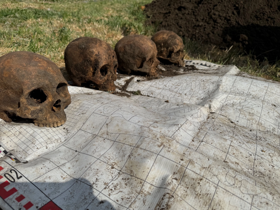 В Ростовской области нашли останки 14-и бойцов Красной армии