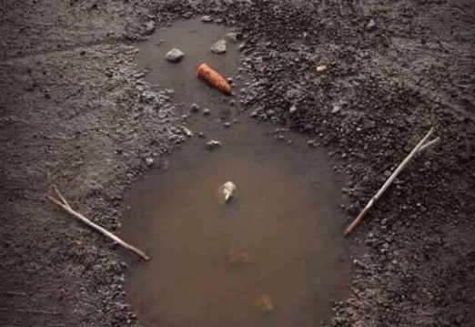 Новый Год Без Снега Новый Год Без Снега