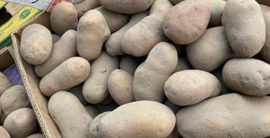 Картофель, капуста, морковь и виноград подешевели в Ростовской области