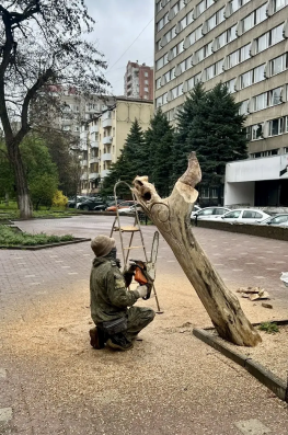В Ростове из ясеней, зараженных златкой, собираются делать арт-объекты