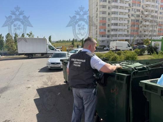 Бастрыкину доложат о расследовании дела об убитом младенце в Ростове
