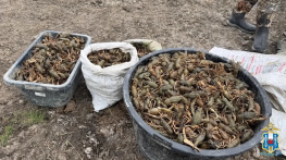 В Ростовской области поймали браконьеров с добычей на полмиллиона рублей 