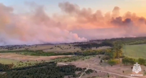 Лесной пожар в Ростовской области локализовали на 169 гектарах 