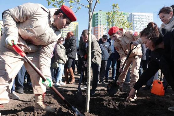Деревья в ростовской Левенцовке высадили по рекомендациям ботаников