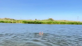 Спустя трое суток в Красном Сулине нашли тело утонувшего мужчины