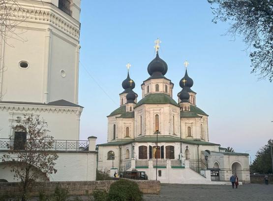 Отравителя собак ищут в станице Старочеркасской