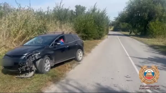 В Ростовской области автомобиль  насмерть сбил 50-летнюю женщину