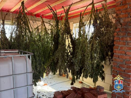 Больше 70 кг каннабиса хранил дома житель Ростовской области