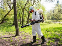 В Азове рекомендовали до 3 мая не посещать парки из-за дезинфекции от клещей