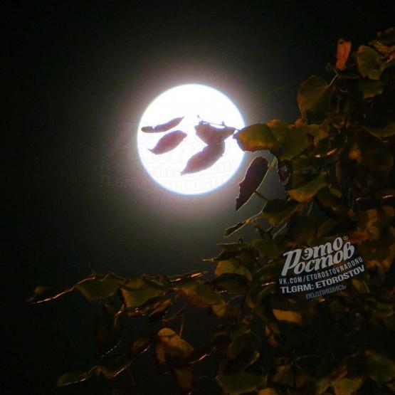 Атмосферную ночь и суперлуние наблюдали жители донского региона