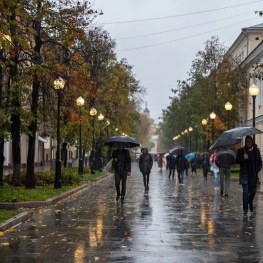 Осеннее похолодание пришло в Ростов в конце недели