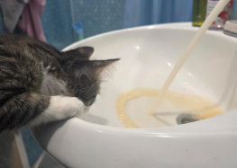 В Ростове отключат горячую воду жителям некоторых домов в СЖМ