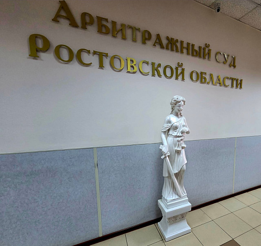 Исполнять обязанности председателя Арбитражного суда Ростовской области будет Ирина Ширинская