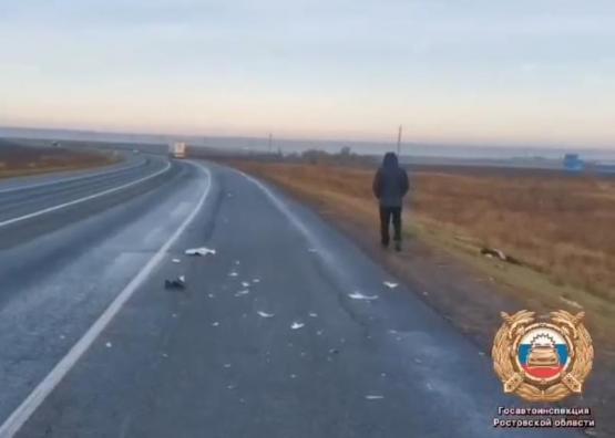 На трассе в Ростовской области фура сбила насмерть мужчину