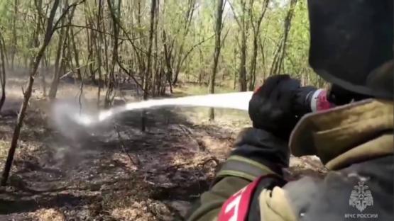 В Тарасовском районе Ростовской области потушили лесной пожар 