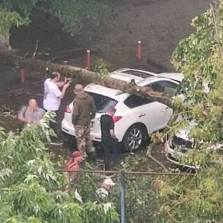 Очередное дерево рухнуло прямиком на машину из-за штормового ветра в Ростове 