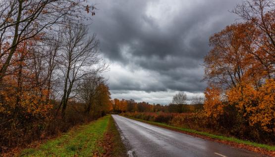 Дожди пройдут в Ростовской области 9 декабря