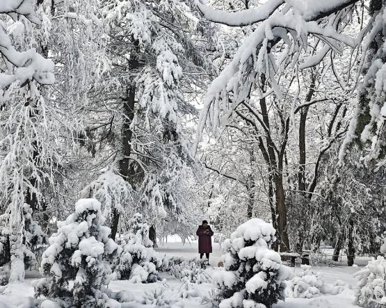 Экстремально холодно и ветрено будет в Ростовской области 26 января