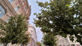 Похолодание и дожди спрогнозировали в Ростовской области к концу недели