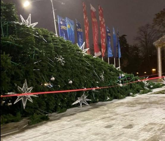 Логвиненко поручил проверить поставщика упавшей сегодня главной ростовской елки