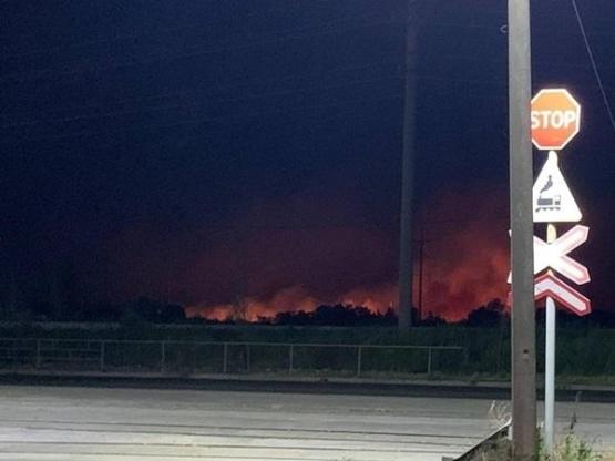 За 16 часов в Ростове на Луговой выгорело 850 кв. метров сухой растительности