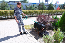  В донском правительстве прокомментировали учения по атакам БПЛА и захвату заложников в школах