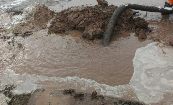 Ростовское УФАС вступилось за подрядчика и не внесло его в «чёрный список»