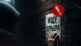 Вычислили по камерам: в Воронежской области задержали курьера мошенников из Ростова 