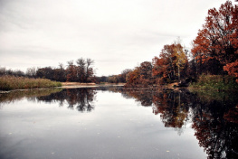 Донское минприроды заказало исследование загрязненности малых рек в паводок