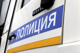 Полиция ищет застрелившего двух собак под Ростовом