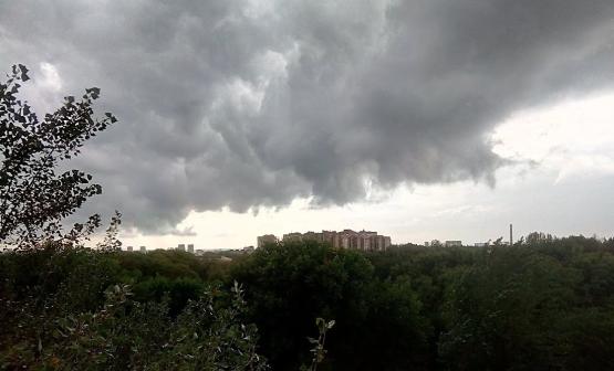 Гроза, штормовой ветер и жара до +36: какой будет погода в Ростовской области 22 июля
