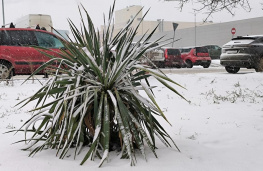 Резкое похолодание до -18° спрогнозировали в Ростовской области