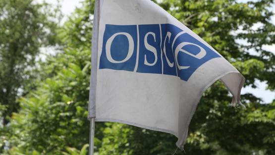 Миссия ОБСЕ прекратила свою работу в Ростовской области
