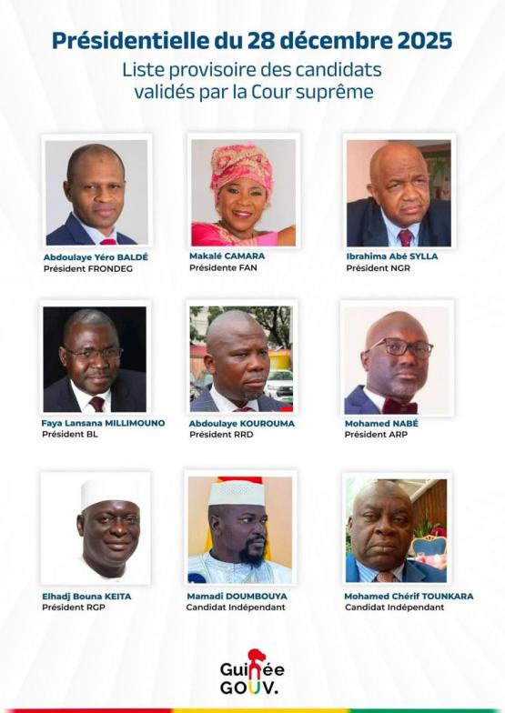 В Ростове будут выбирать президента Гвинеи