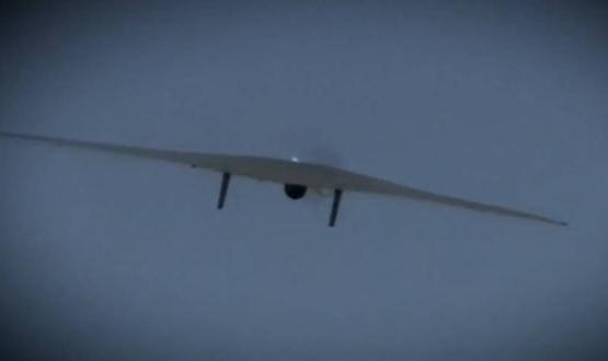 Шесть БПЛА самолётного типа сбили в Ростовской области