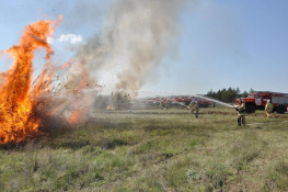 Особый противопожарный режим начнет действовать в Ростовской области с 1 мая