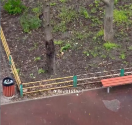 Мокрый снег с дождём и градом накрыл Ростов в конце апреля 