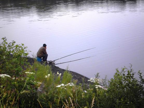 Ростовский рыбак назвал самые удачные места для ловли сазанов и окуней