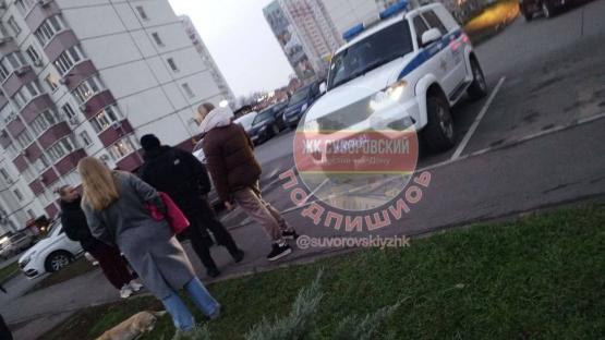 В Суворовском районе Ростова неизвестный застрелил собаку
