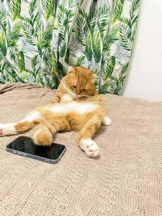 Тепло вернули в 53 многоквартирных дома в Первомайском районе Ростова после ЧП на сетях