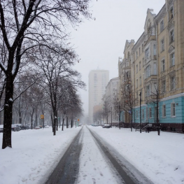 Мокрый снег с дождём накроют Ростовскую область 2 декабря 