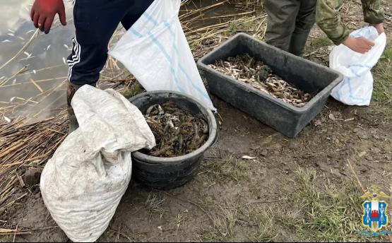 Под Новошахтинском разыскивают браконьера, изловившего более 4 тыс раков на миллион рублей 