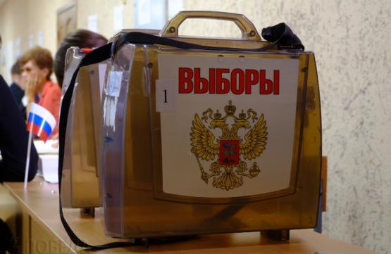 На выборах в Октябрьском районе победили три бизнесмена и директор гимназии 