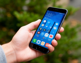 Роскомнадзор объяснил блокировку Telegram и WhatsApp* в Ростовской области 