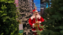 Как будут работать ТРЦ Ростова на Новый год: полный график