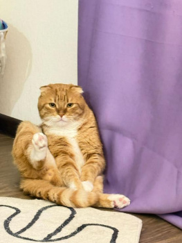 Азов впервые за семь лет получил паспорт готовности к отопительному сезону