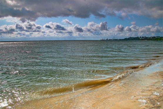 Уровень солености Таганрогского залива вырос более чем в два раза 