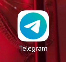 Ростовчан хотят лишить звонков в WhatsApp* и Telegram: операторы требуют запрета