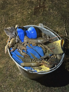 Браконьера задержали за промысел нерестовых раков в Ростовской области 