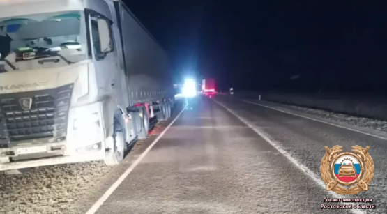 КАМАЗ насмерть сбил 28-летнего парня на трассе Ростовской области